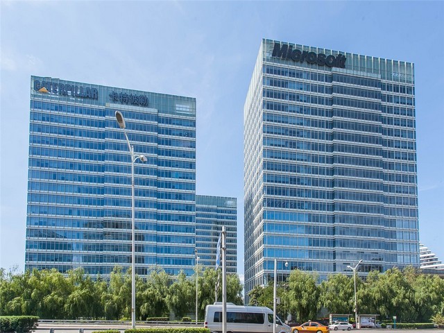 汕头介绍绿化树产品介绍